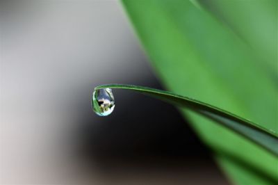 Why Save Water? Why Save Water?